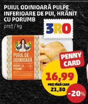 Puiul Odinioară Pulpe Inferioare de Pui, Hrănit cu Porumb