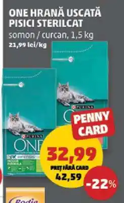Penny ONE HRANĂ USCATĂ PISICI STERILCAT Ofertă