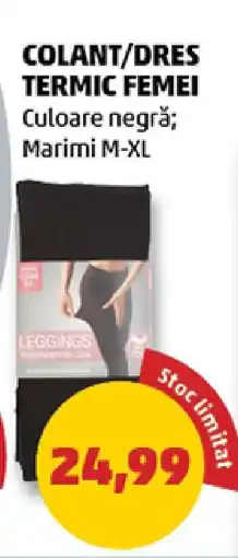 Penny Colant/Dres Termic Femei Ofertă