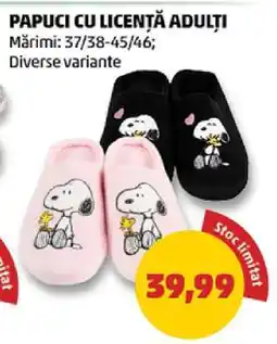 Penny Papuci cu licență adulți Ofertă
