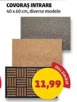 Penny Covoraș intrare Ofertă