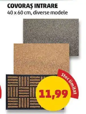 Penny Covoraș intrare Ofertă