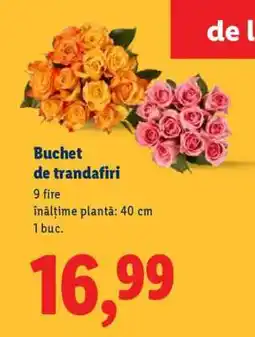 Lidl Buchet de trandafiri Ofertă