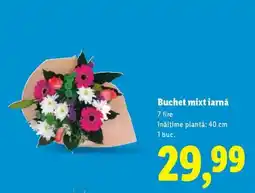 Lidl Buchet mixt iarnă Ofertă