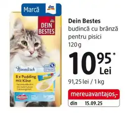 DM Dein Bestes budincă cu brânză pentru pisici Ofertă