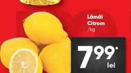 PROFI Lămâi Citrom Ofertă