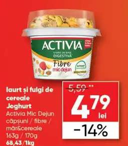 PROFI laurt și fulgi de cereale Joghurt Activia Mic Dejun Ofertă