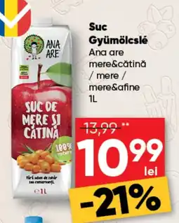 PROFI Suc Gyümölcslé Ana are mere&cătină /mere/ mere&afine Ofertă