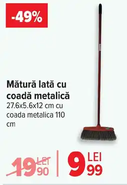 Carrefour Market Mătură lată cu coadă metalică Ofertă
