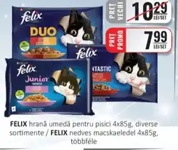 CBA FELIX hrană umedă pentru pisici Ofertă