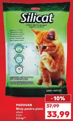 Kaufland PADOVAN Nisip pentru pisici Ofertă