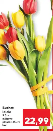 Kaufland Buchet lalele Ofertă