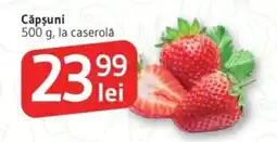 Supeco Căpşuni Ofertă