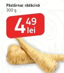 Supeco Pǎstârnac rădăcină Ofertă