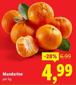 Lidl Mandarine Ofertă
