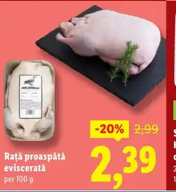 Lidl Raţă proaspătă evisceratǎ Ofertă