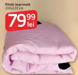 Supeco Pilotǎ imprimată Ofertă