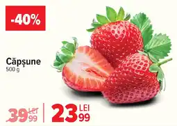Carrefour Căpşune Ofertă