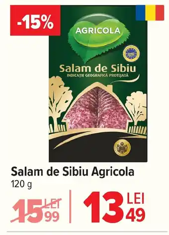 Carrefour Salam de Sibiu Agricola Ofertă