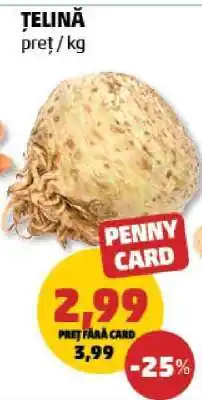Penny Țelină Ofertă