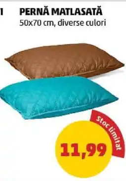 Penny Pernă matlasată Ofertă