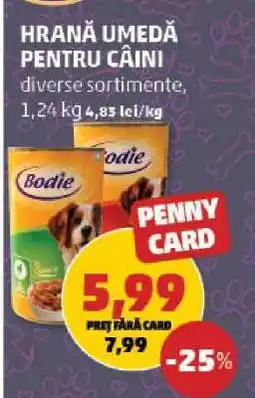 Penny Hrana umedă pentru câini Ofertă