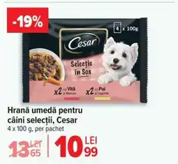Carrefour Hrană umedă pentru câini selecții, Cesar Ofertă