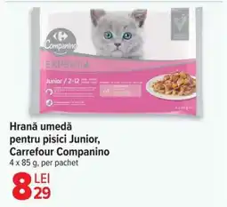 Carrefour Hrană umedă pentru pisici Junior, Carrefour Companino Ofertă