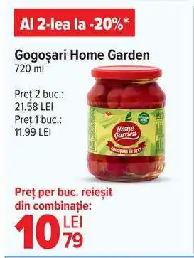 Carrefour Gogoșari Home Garden Ofertă