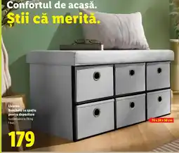Lidl Livarno Banchetă cu spațiu pentru depozitare Ofertă