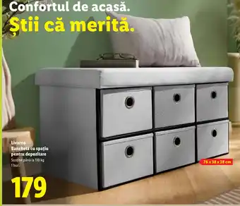 Livarno Banchetă cu spațiu pentru depozitare