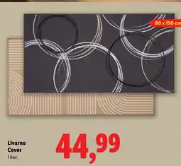 Lidl Livarno Covor Ofertă