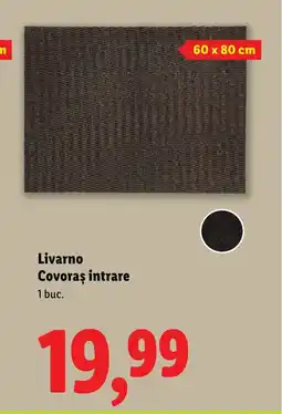Lidl Livarno Covoras intrare Ofertă