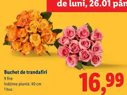 Lidl Buchet de trandafiri Ofertă