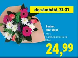 Lidl Buchet mixt iarnă Ofertă