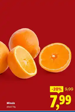 Lidl Minole Ofertă