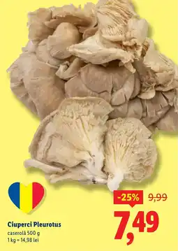 Lidl Ciuperci Pleurotus Ofertă