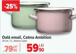 Carrefour Oală email, Calma Ambition Ofertă