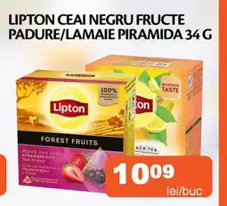 Unicarm Lipton ceai negru fructe padure/lamaie piramida Ofertă