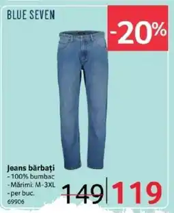 Selgros Jeans bărbați Ofertă
