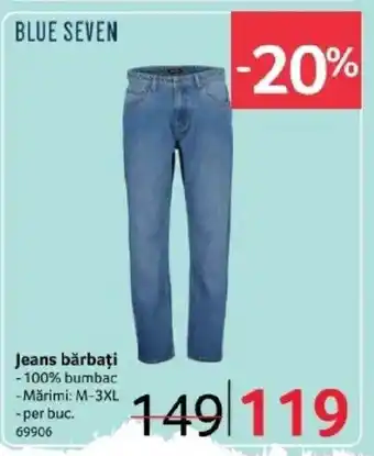 Selgros Jeans bărbați Ofertă
