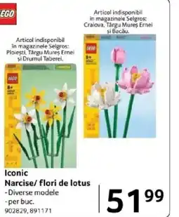 Selgros Iconic Narcise/flori de lotus Ofertă
