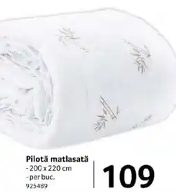 Selgros Pilotǎ matlasată Ofertă