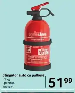 Selgros Stingător auto cu pulbere Ofertă