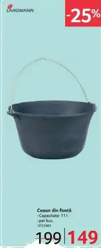 Selgros Ceaun din fontǎ Ofertă