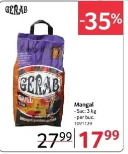 Selgros Mangal Ofertă