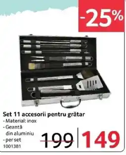 Selgros Set 11 accesorii pentru grătar Ofertă