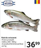 Selgros Păstrǎv eviscerat Ofertă