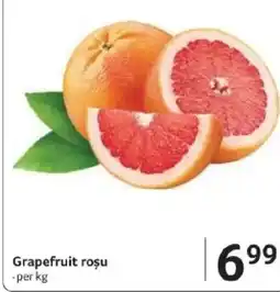 Selgros Grapefruit roşu Ofertă