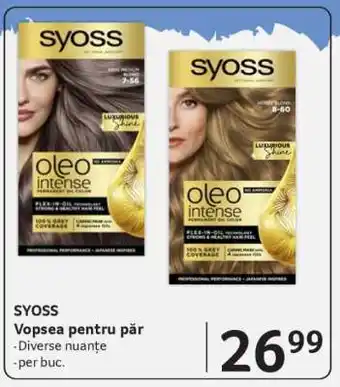Selgros SYOSS Ofertă
